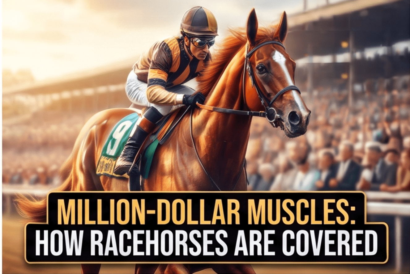 Jockeys racing thoroughbred horses on a track, representing racehorse mortality insurance