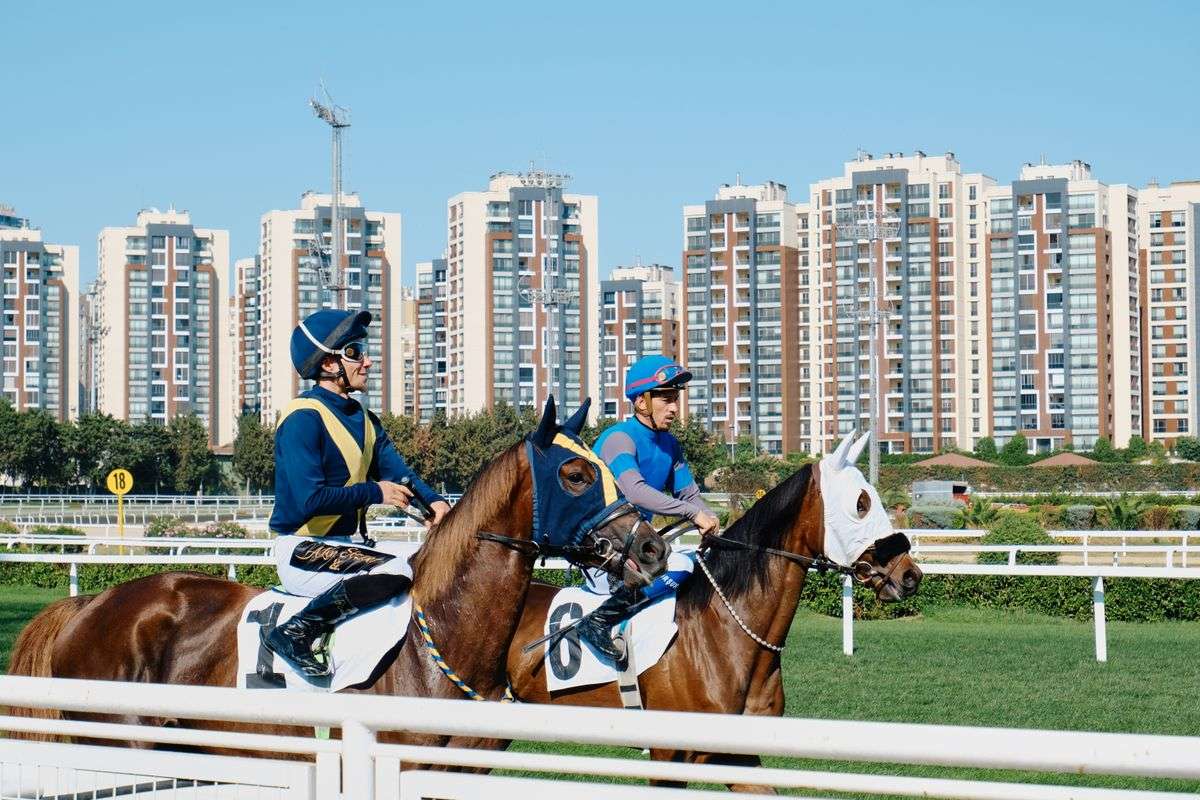 Jockeys racing thoroughbred horses on a track, representing racehorse mortality insurance