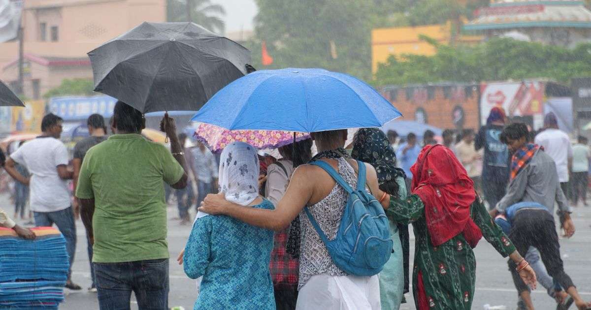 Crowd with umbrellas at an outdoor event on a rainy day, representing rain and event weather insurance